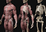 create 3d medical mechanism of action animation for drugs and treatments video